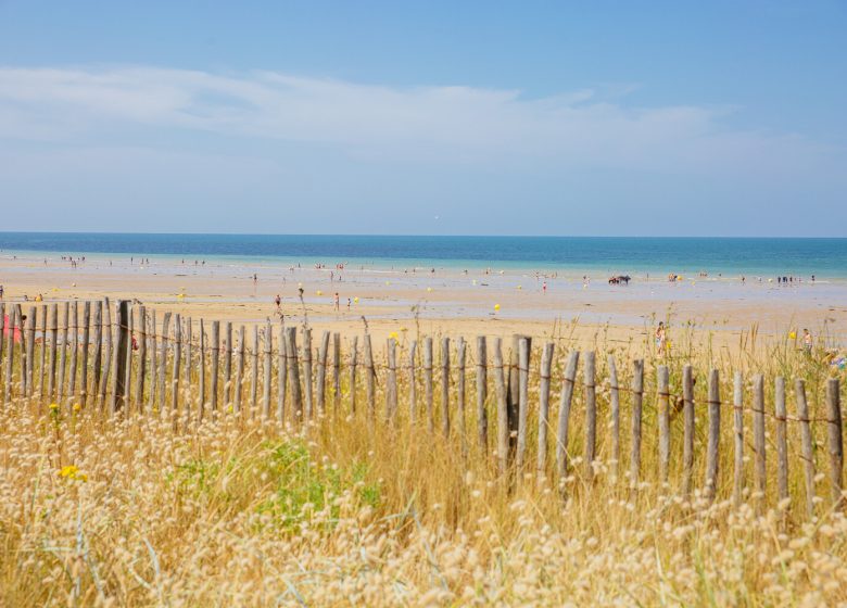 5 JUIN balade botanique marais Bord_de_plage-Caen_la_mer_Tourisme___Les_Conteurs_(Droits_reserves_OTC)-1500px