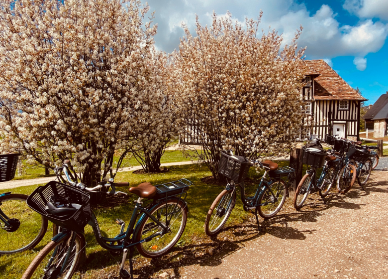 Design sans titre – Calvados La France A Vélo