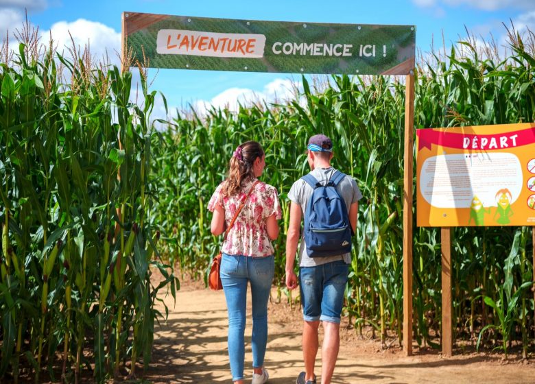 photo-entre-labyrinthe